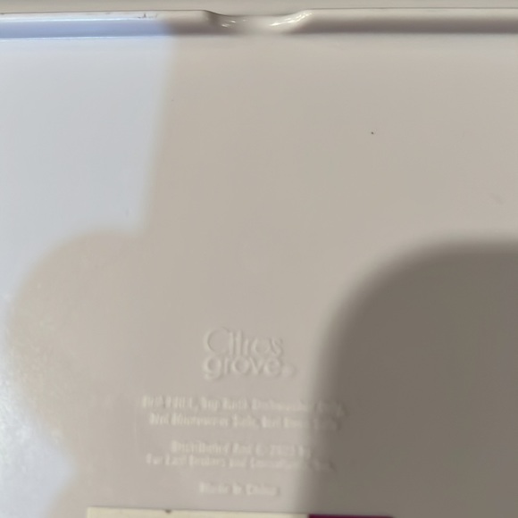 NWT DIA DE LOS MUERTOS DAY OF THE DEAD PLASTIC PARTY PLATTER 19” x 8” - Picture 4 of 4